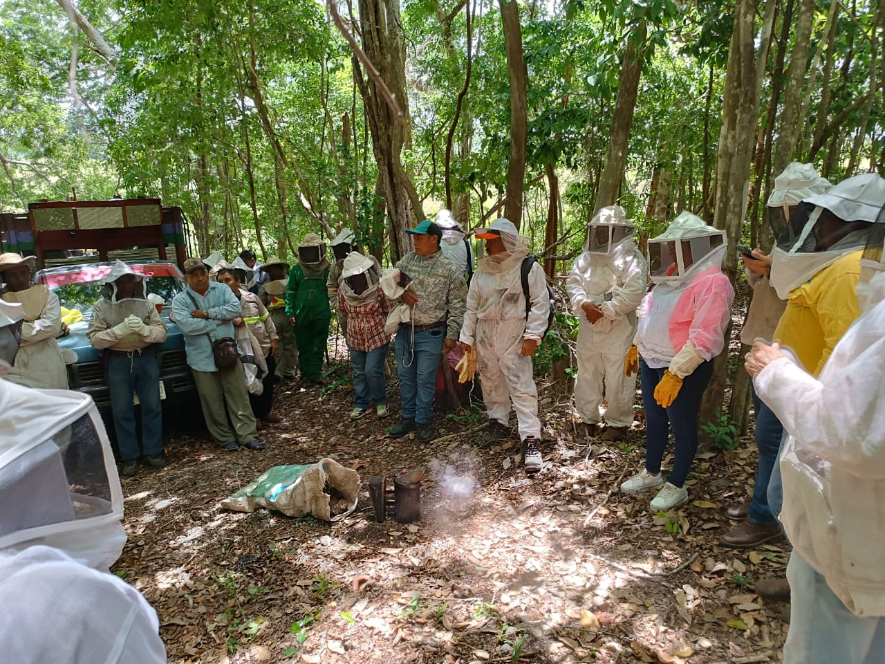 Token Honey - Nectar Mayan Coin